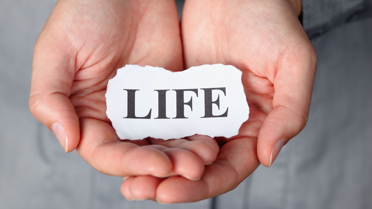 株主優待は「家計の足し」になる制度