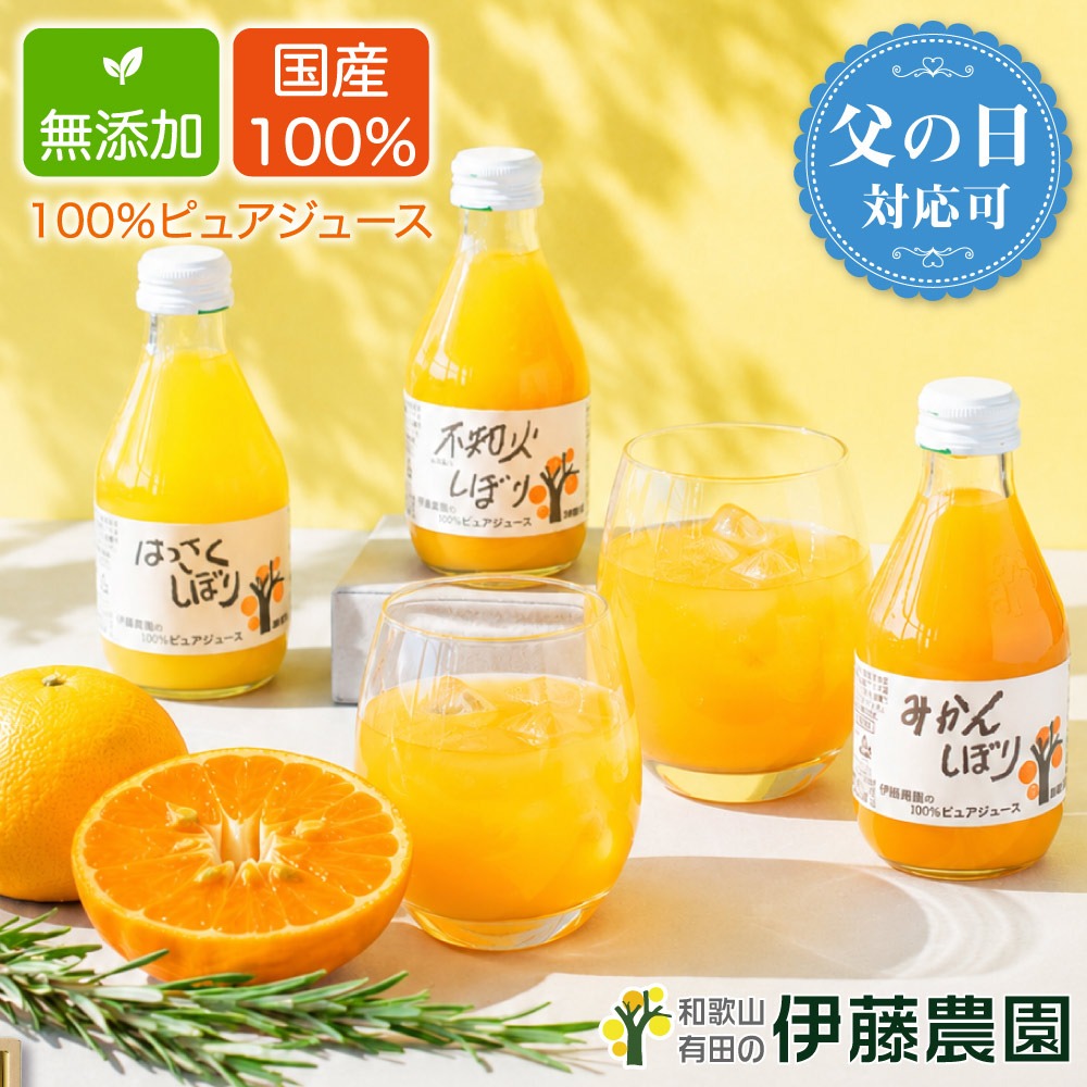 伊藤農園 100％ピュアジュースギフト