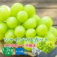 シャインマスカット2房